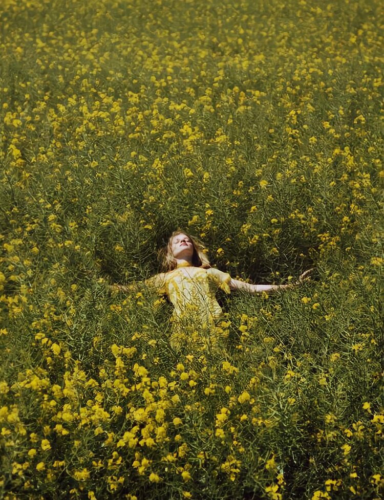 The+Science+of+Happiness